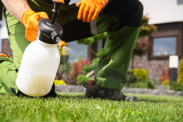 Best Affordable Pest Control Services  in East Brooklyn, CT