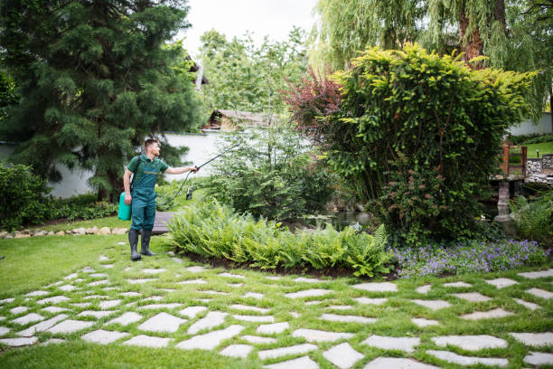 Wasp Removal Services in East Brooklyn, CT