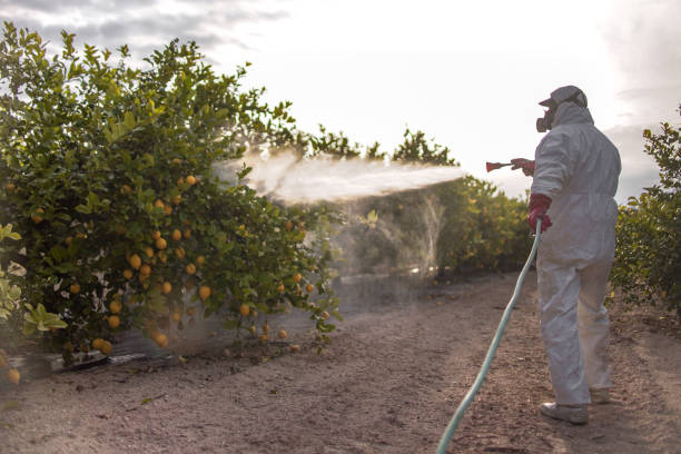 Best Commercial Pest Control Services  in East Brooklyn, CT