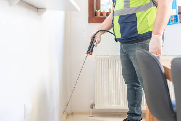 Reliable East Brooklyn, CT Pest Control Solutions